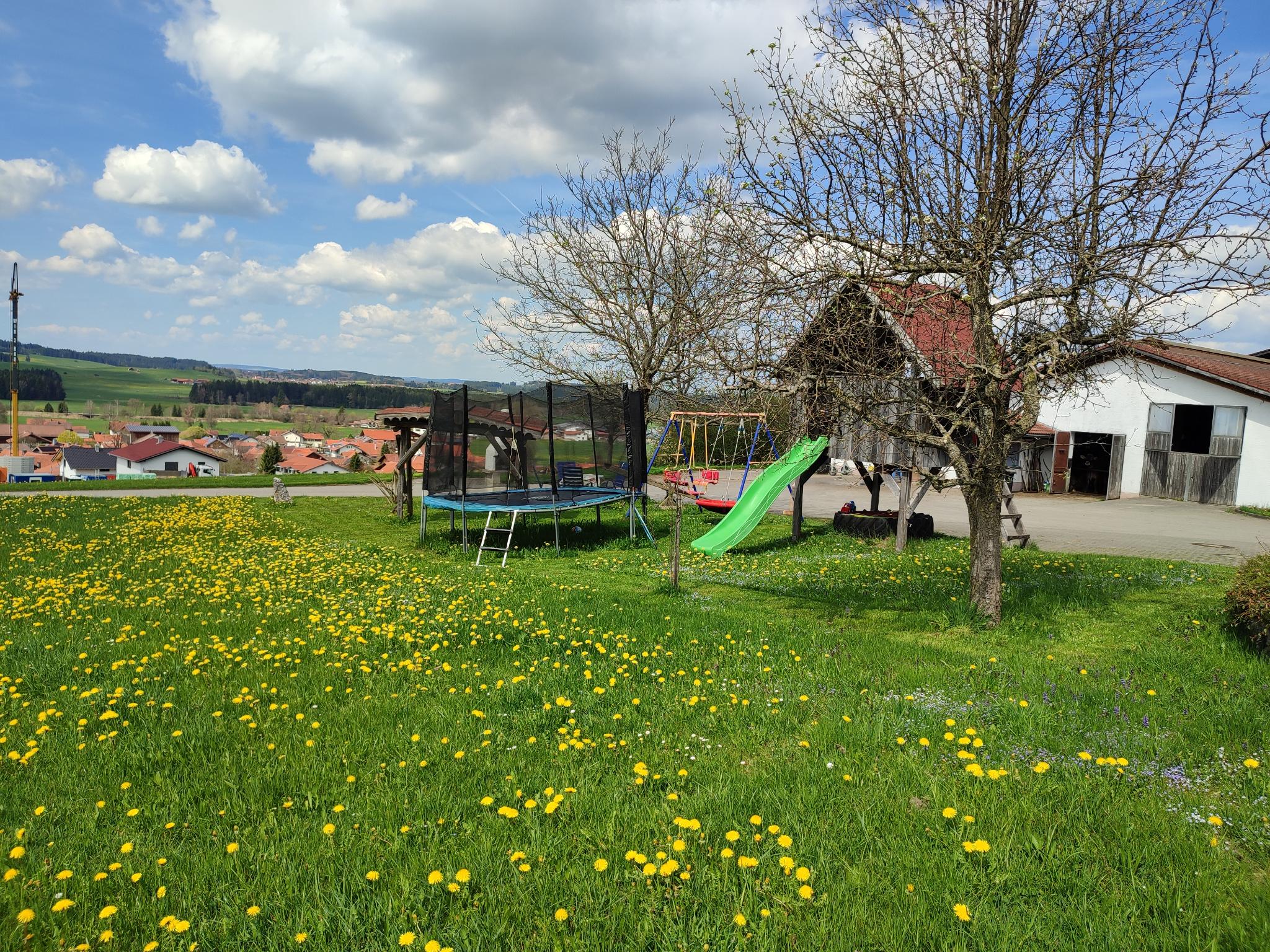 Blick auf die Stellplätze
