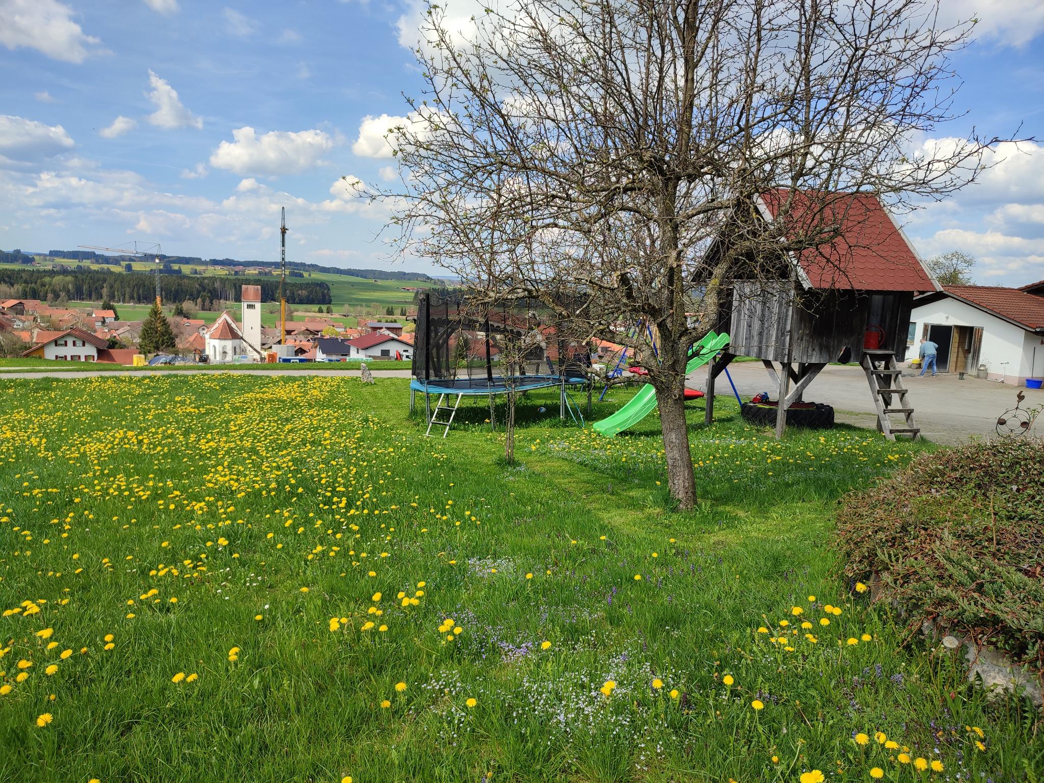 Zeltwiese am Hof